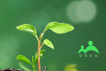 普化公益助學(xué)平臺